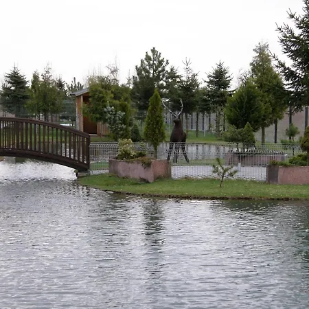 Canpol-jull's Art * Człuchów